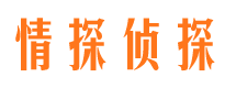 镇康出轨调查